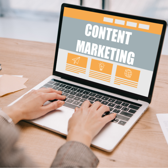 Free Digital Content + User Content Website Terms and Conditions