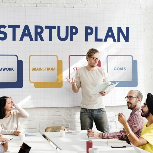 Start Up Business Plan and Business Structure