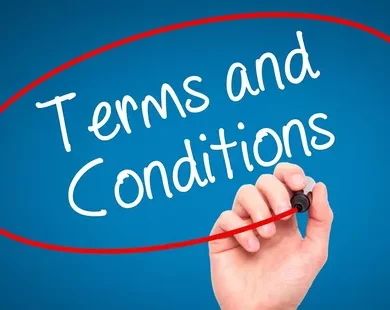 Standard Service Terms and Conditions (B2C)