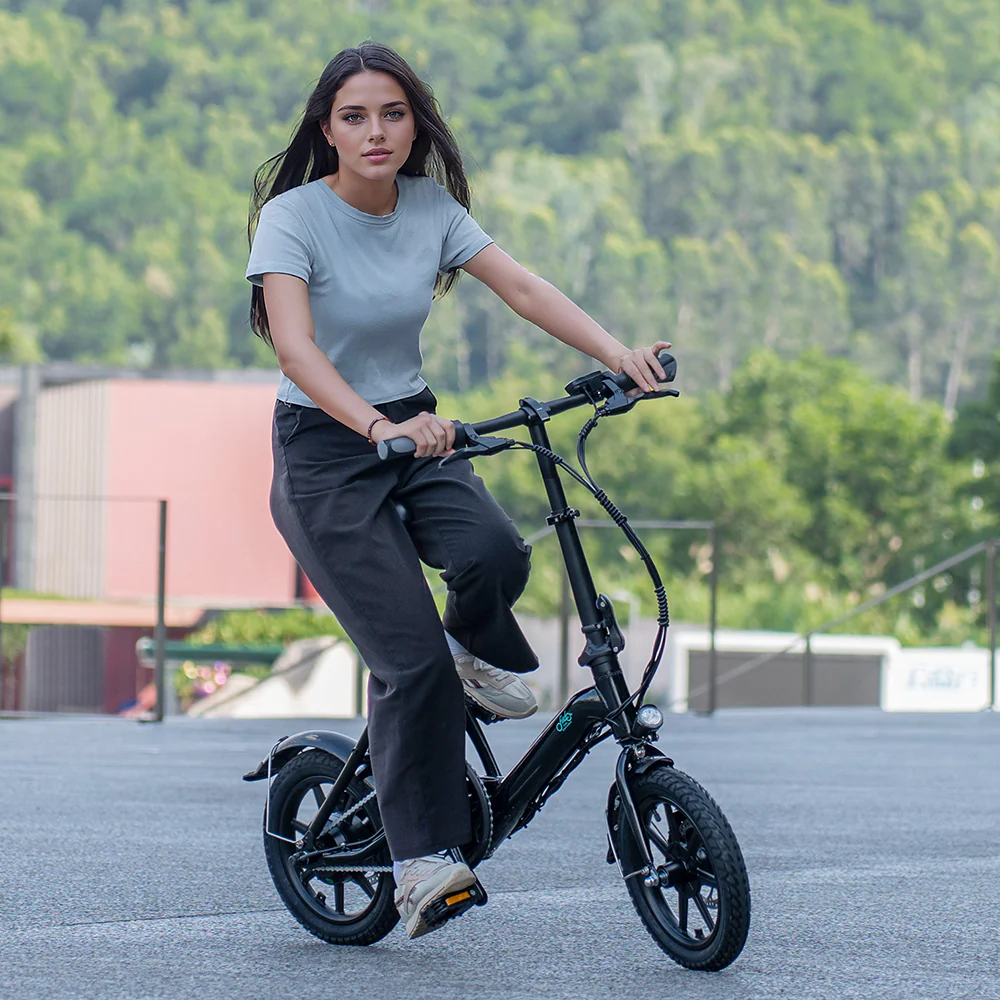 What-is-the-Best-Mini-Electric-Bike